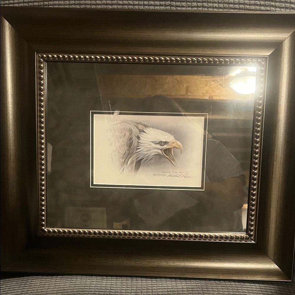 Framed Eagle Artwork with Brown Frame